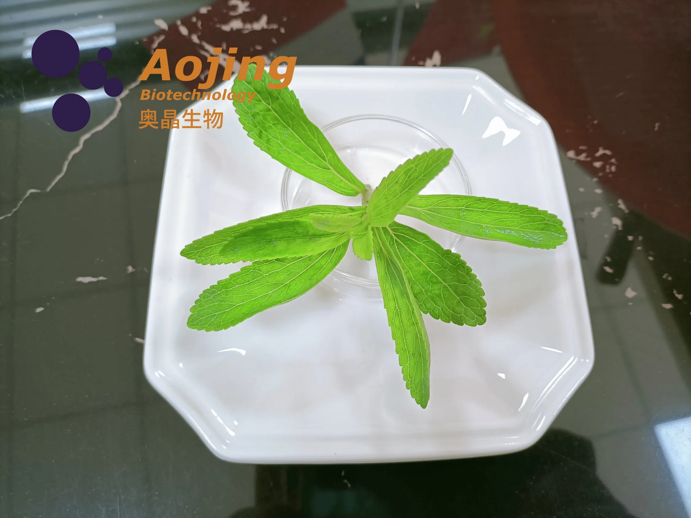 Aojing Bio Best Price Rebaudioside a Stevia Leaf Extract Powder Reb-A97%