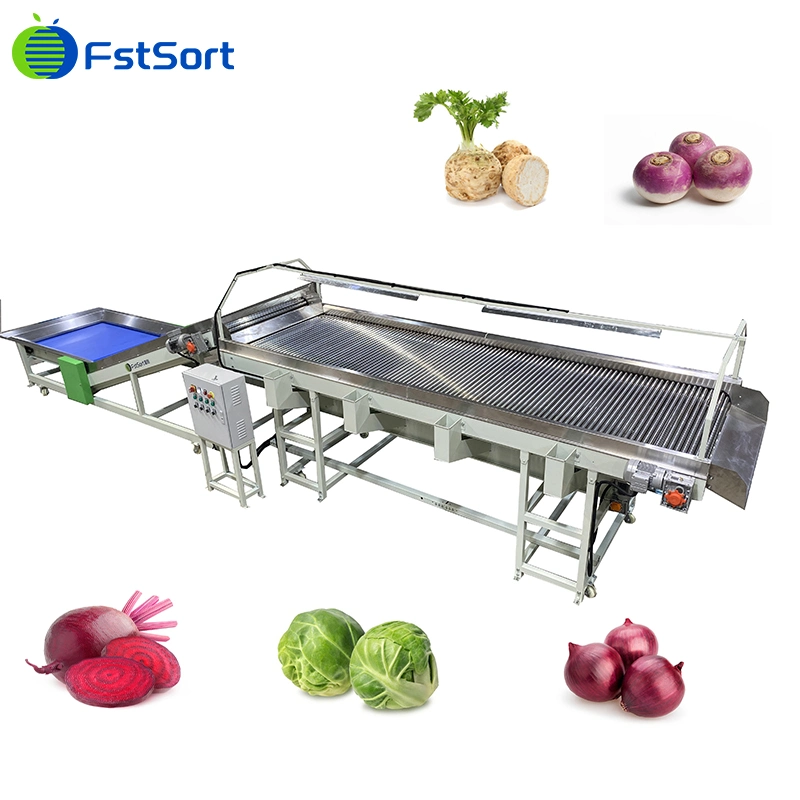 Fstsort Lychee/Longan/Tomato/Passion Fruit/Dates/Apple/Orange/Tangerine Vegetable Inspection Table Fruit Picking Table Fruit and Vegetable Processing Machine