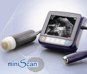 Mini Ultrasound Scanner for Both Small and Large Animals