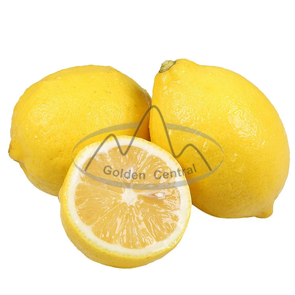 Sharewholesale Price Yellow Natural Fresh Lemon Fruit