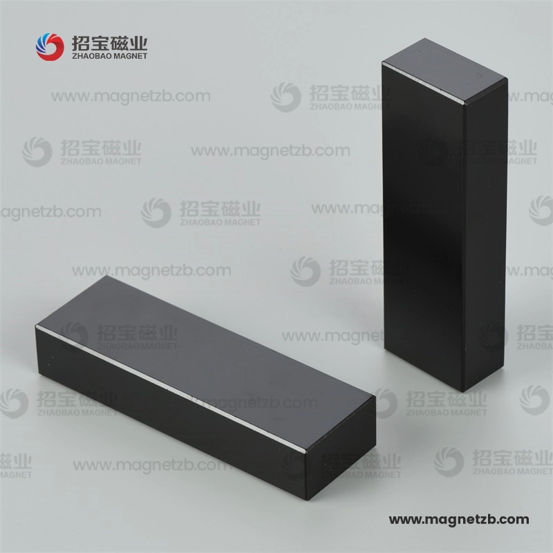 Neodymium Special Magnet Strong NdFeB with Epoxy Coating Neo Manufacturer for Motor