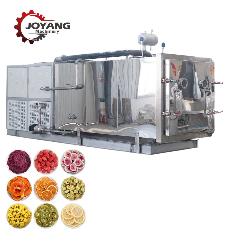 Industrial 30 Square Meter Vacuum Freeze Dryer for Drying Fruit Vegetable Meat