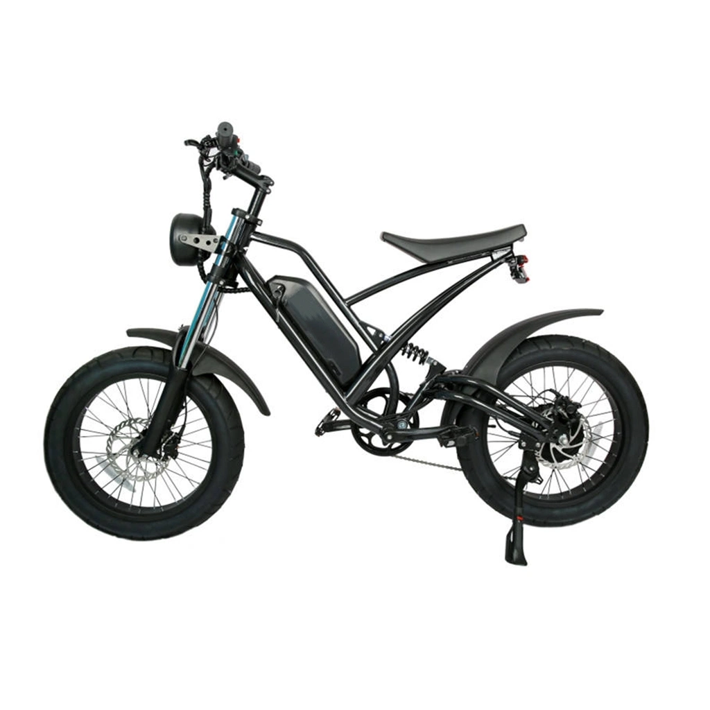 2022 New 1000W Motor 20 Inch Fat Tire Folding Electric Bike 48V 13ah Lithium Battery E Bike CE Electric Bicycle Snow Bike