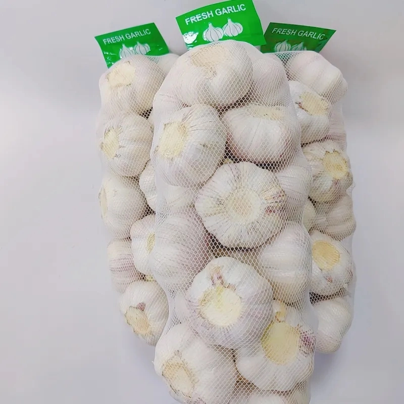 Certified Garlic Fresh New Crop Supplied by Garlic Exporters China for Europe Garlic Market