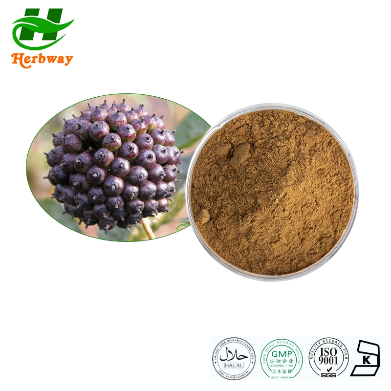 Herbway Siberian Ginseng Root Extract Eleutherosides B + E Nutraceutical Food Plant Extract