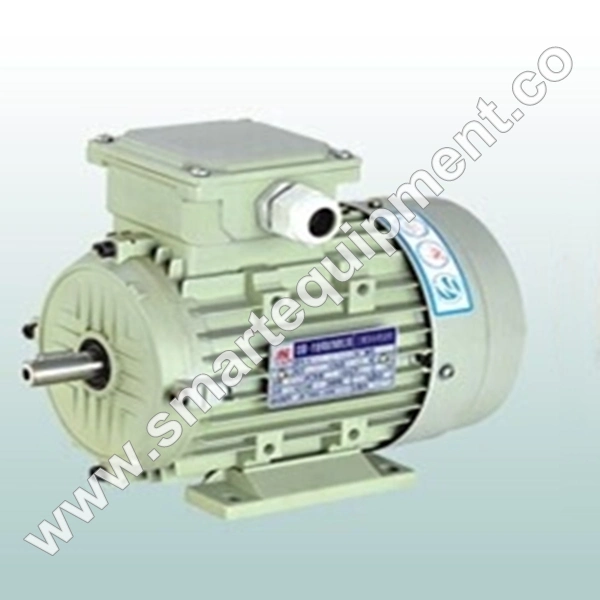 Y2 Cast Iron 3 Phase AC Electric Motor