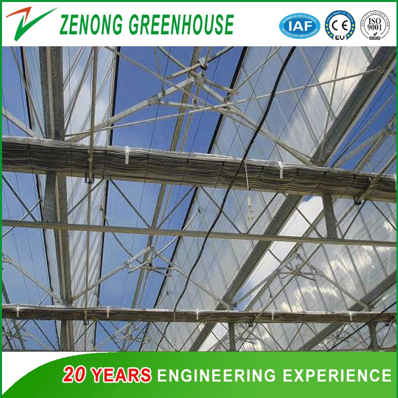 Modern Design Glass Greenhouse with Hot Galvanized Steel Framework Used for Agriculture/ Stock Farming/ Aquaculture/ Restaurant/ Scientific Research