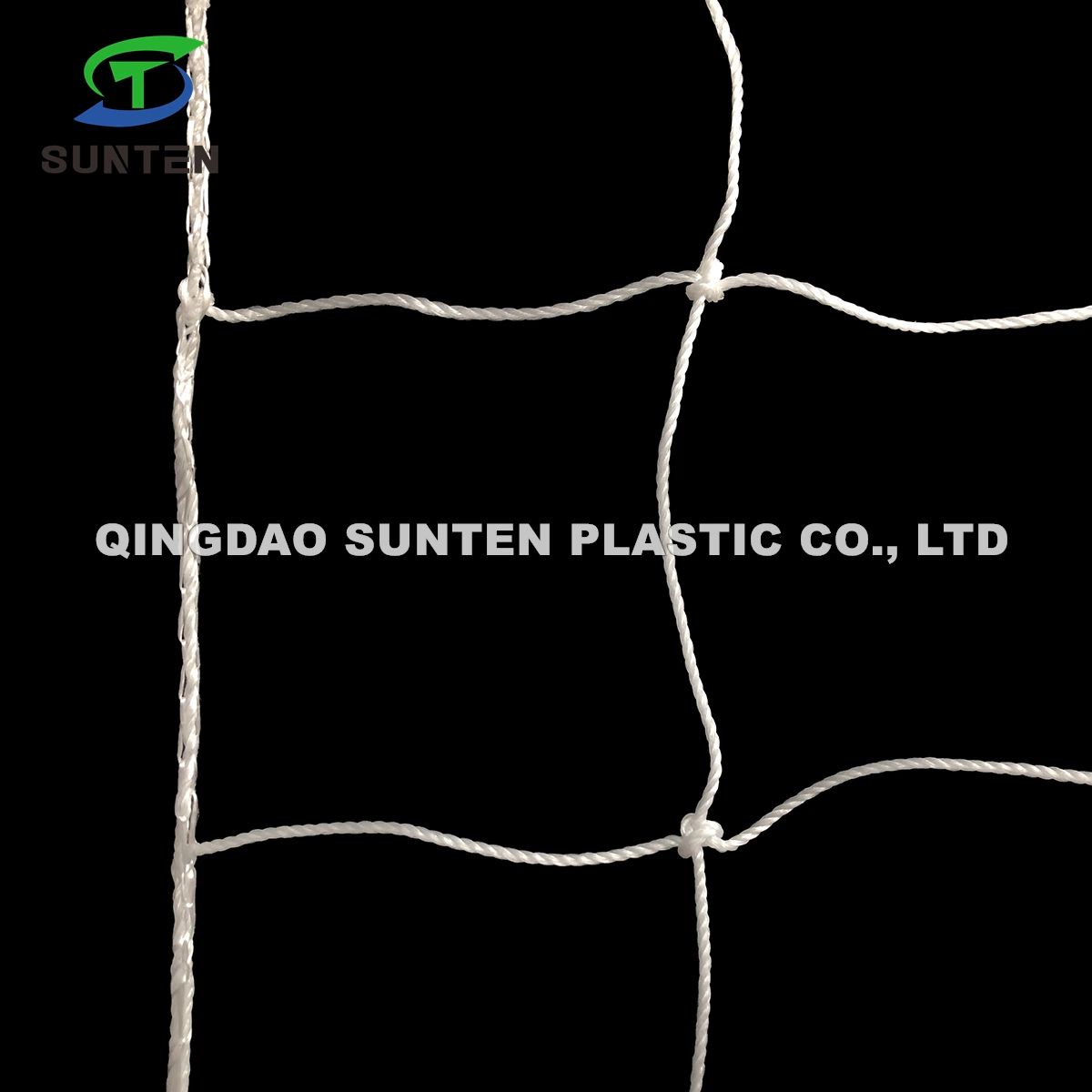 EU-Standard Nylon/Polyester/HDPE/PE/Polyethylen/PP Sport/Geflochtenes Fußballnetz