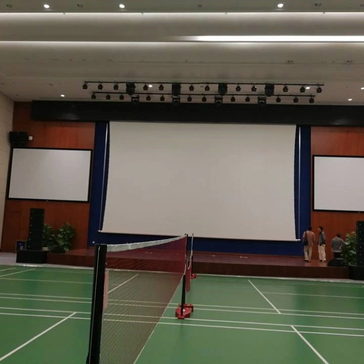 Large Size Electric Projector Screen/Big Motorized Projection Screen (LES300V)