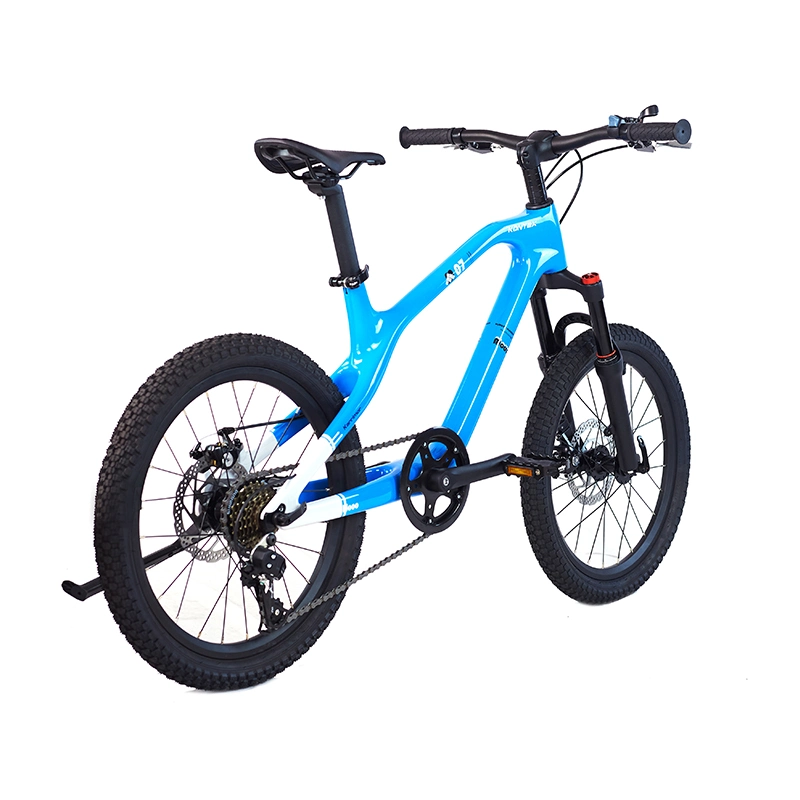 Original Factory Cheap Price Wholesale/Supplier 20 Inch Mountain Bike for Adult Road 7 Speed Alloy Frame Electric Bicycle MTB Disc Brake Solid Tire Pneumatic Tyre Kids