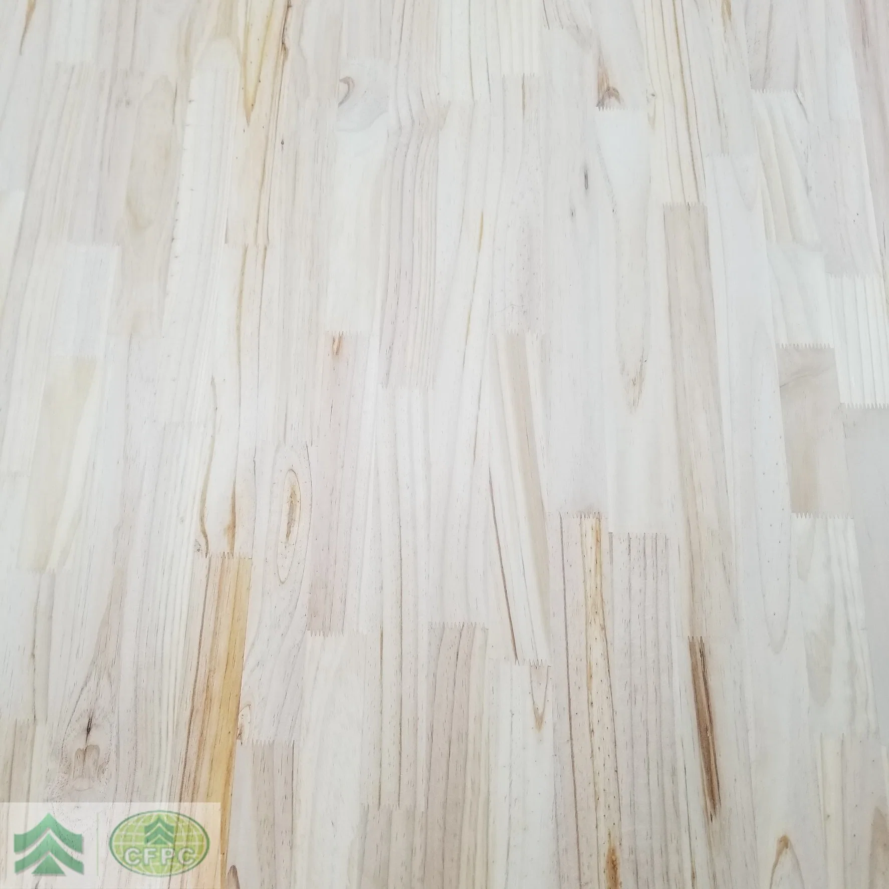 Factory Supply Timber Paulownia Wood Yellow Poplar