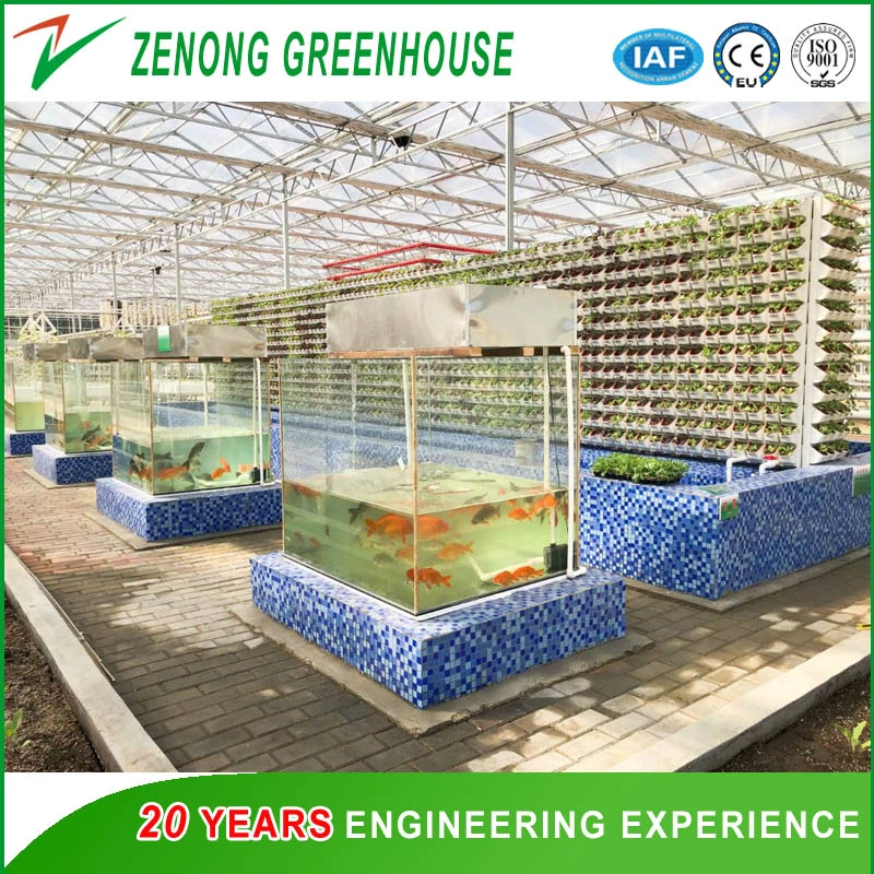 Aquaponic/Hydroponic Green House Covered with High Transmittance Glass