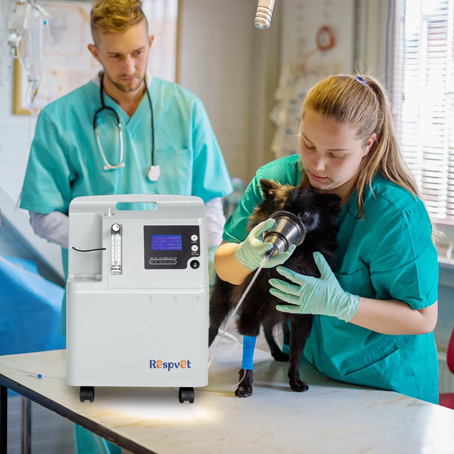 Animal equipment oxygen solutions for veterinary surgical therapy