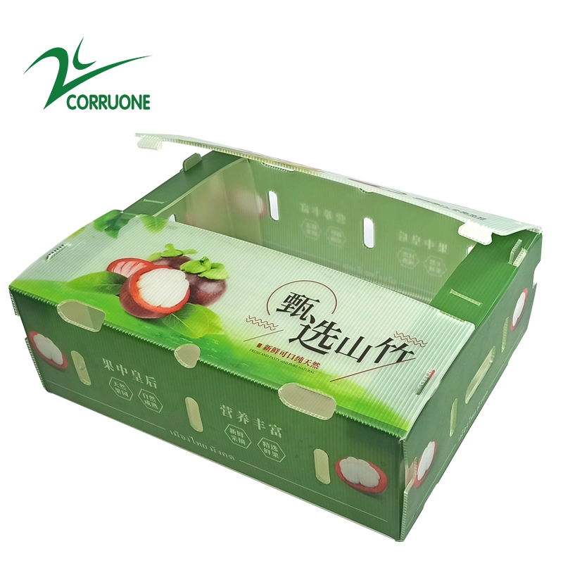 Waterproof Printable PP Corrugated Plastic Box Corflute Fruit Packing Box