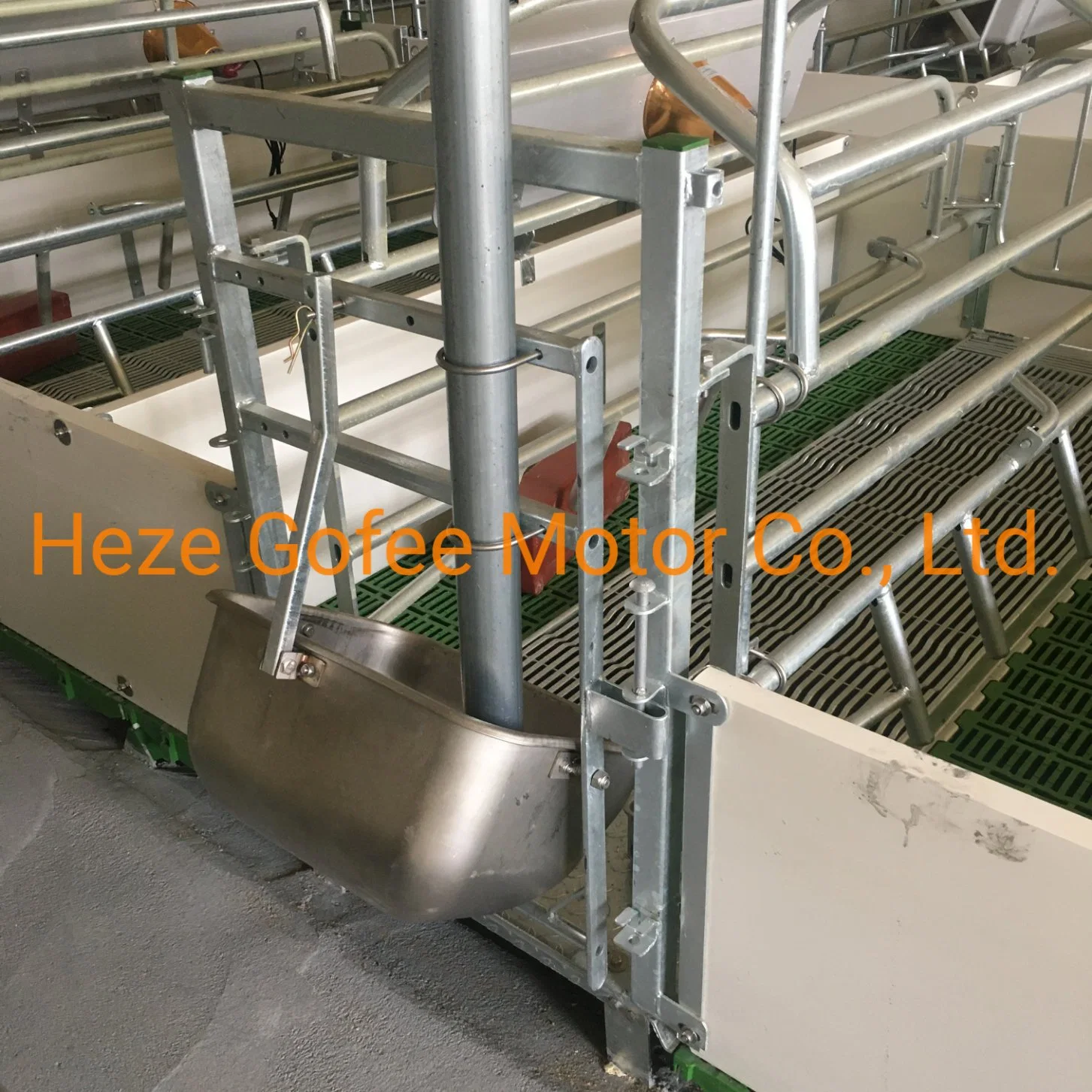 Sow Exclusive Feeding Chute Trough Farrowing Pig Feeder