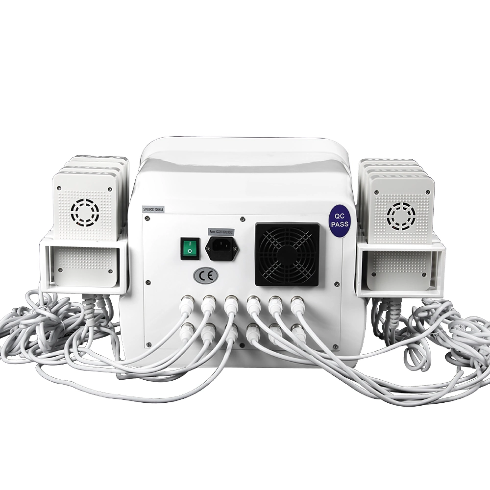 Schnelle Laser-Behandlung Beauty-Instrument Dual Wellenlänge 36 Diodenlaser Für Fat Burning Br319