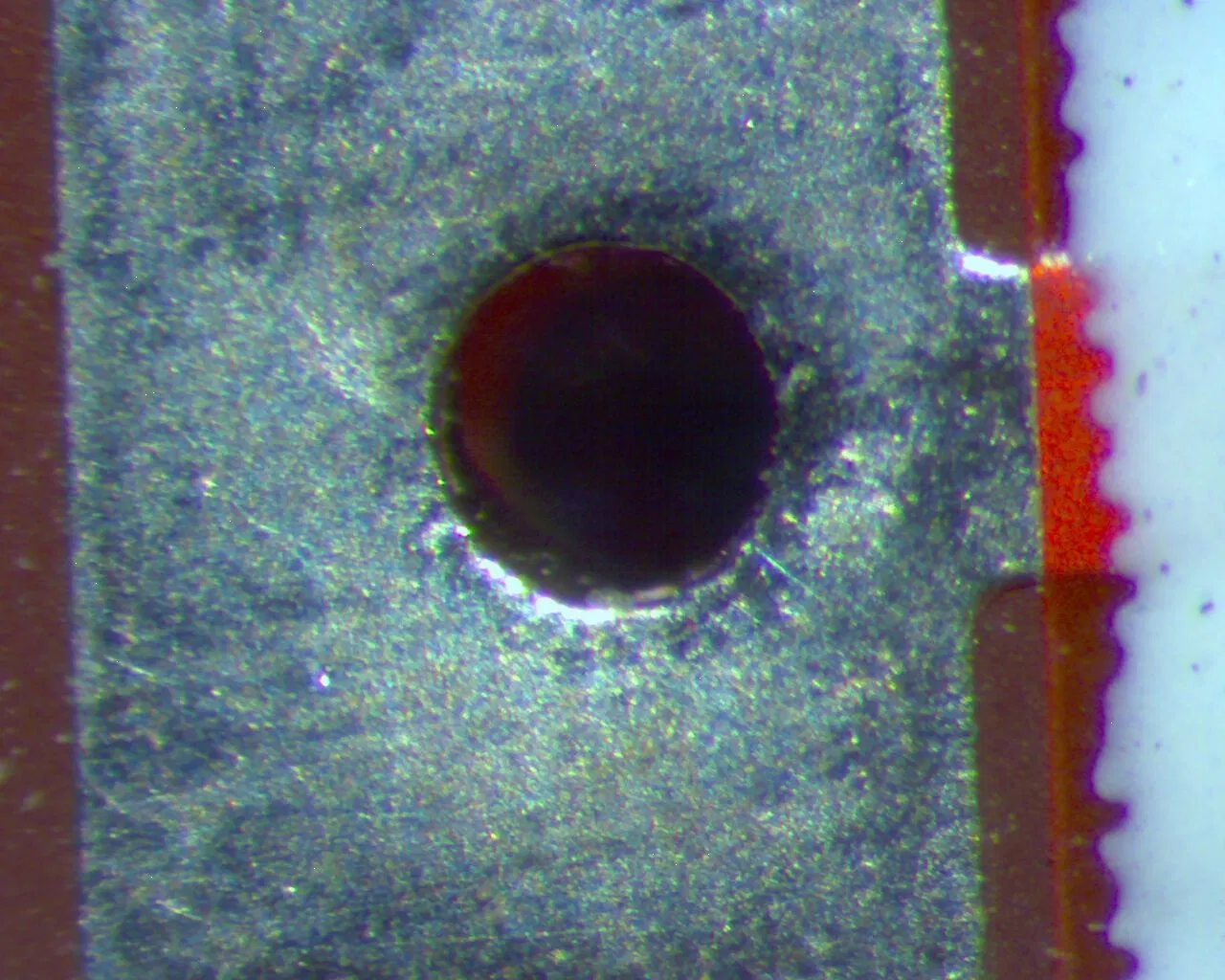 Un voyant-3045BestScope BS trinoculaire Microscope stéréo à zoom avec distance Interpupillary 55-75mm