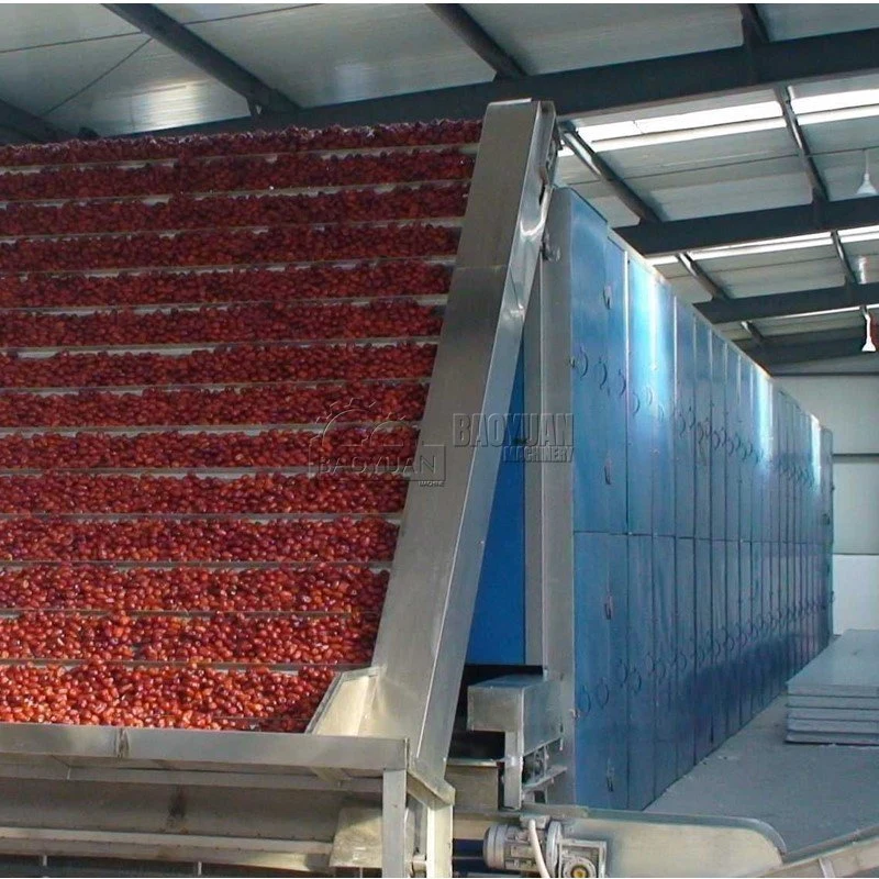 Tomato Mango Heat Pump Dryer Fruit Drying Equipment