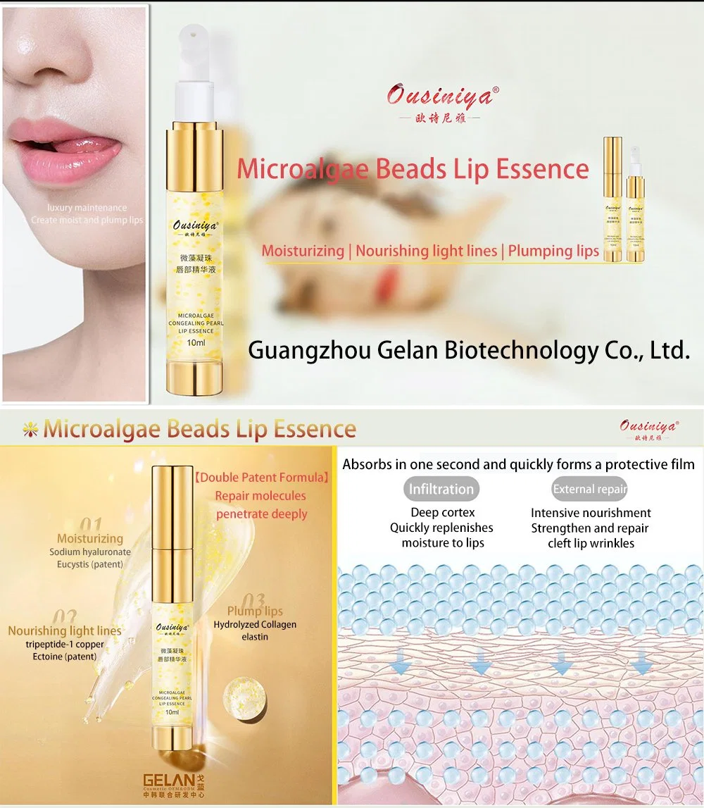 Lippenpflege OEM Cystoseira Tamariscifolia Nourishing Sea Fenchel Mikroalgen Perlen Lippenessenz