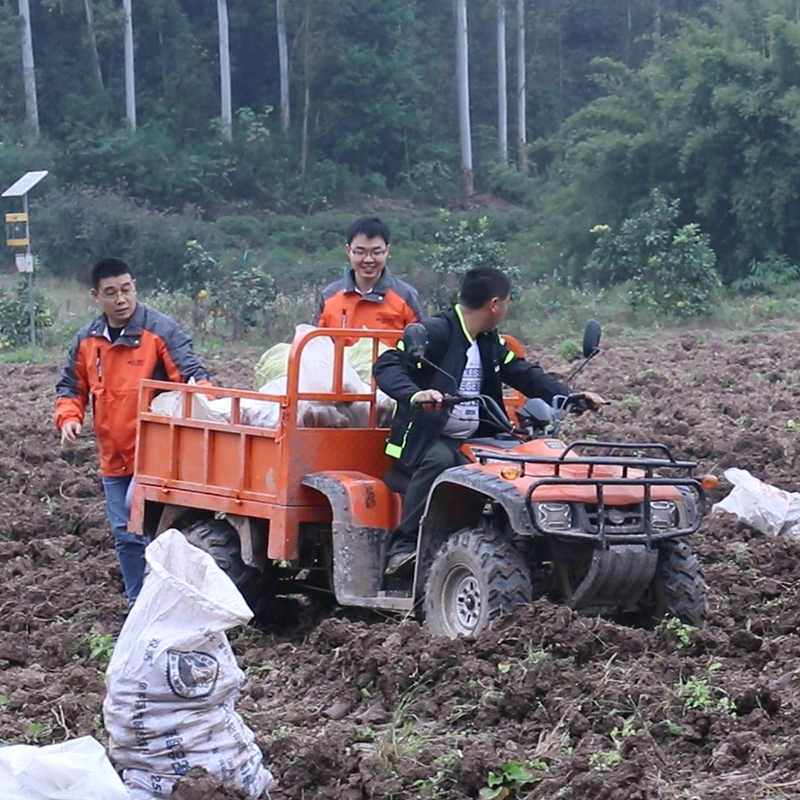 Aerobs Shaft Drive Chongqing, China Electric 4X2 Youth ATV BS300u-2WD-1.6