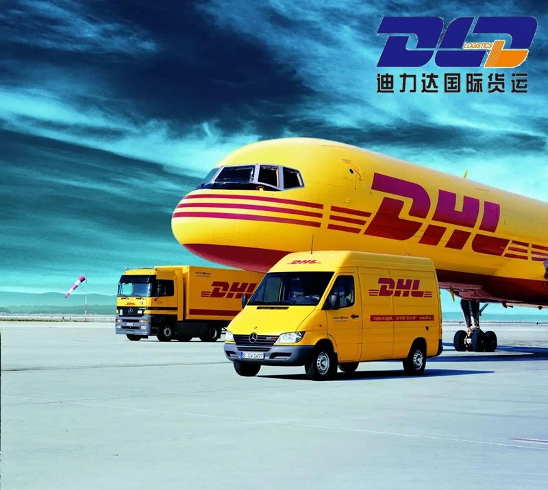 Logistik/Luftfracht/UPS/DHL/FedEx/Seefracht/China nach Global