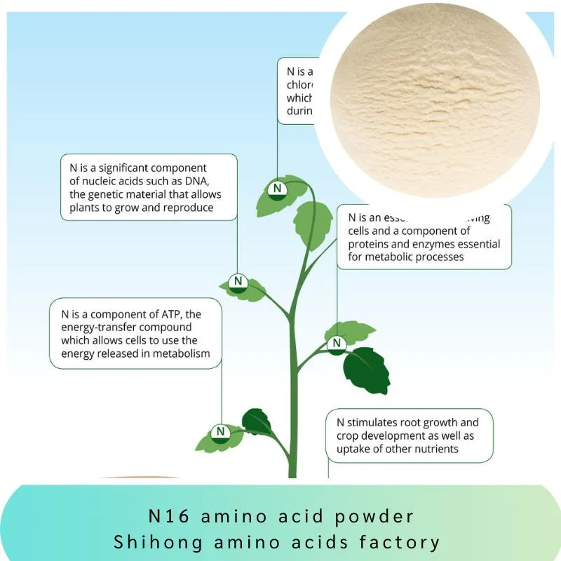 Polvo de aminoácido 65072-01-7 N16 sin cloruro aprobado por Omri