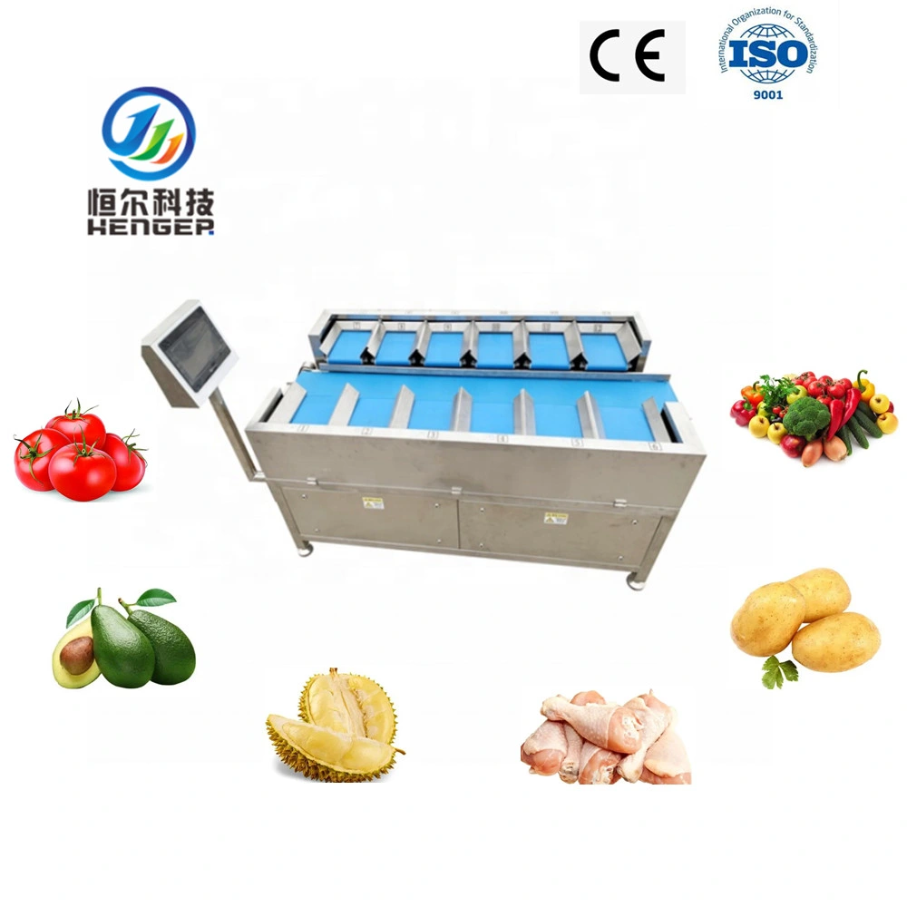 Factorial Check Weigher Digital Scale Electronic Scale