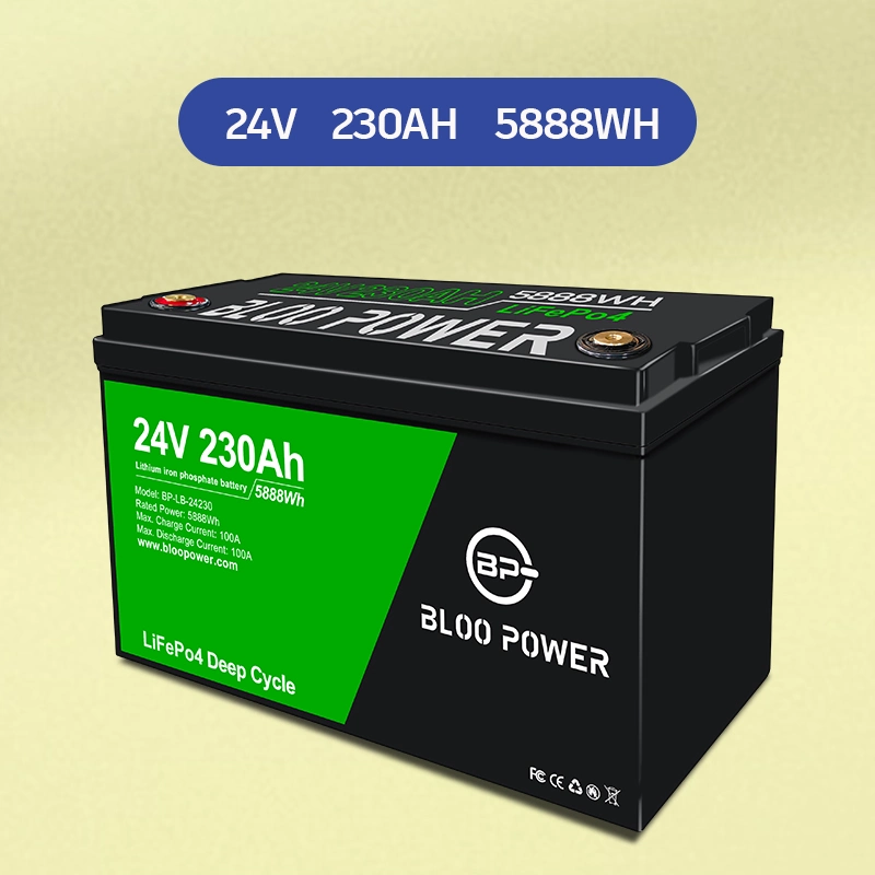 Bloopower 12 24 Volt Li-ion Li Ion Cell Batteries Pack for Wind Power System Solar Street Light LED Lighting Storage