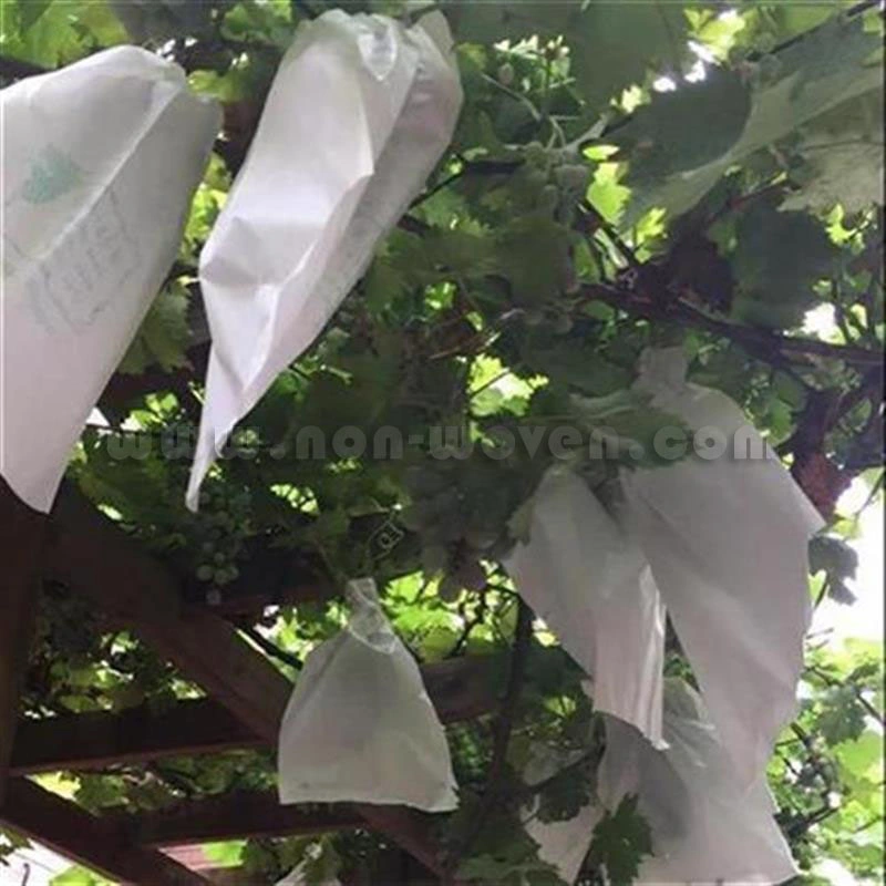 Agriculture Non Woven Fabric, Ground Cover Plants Shade