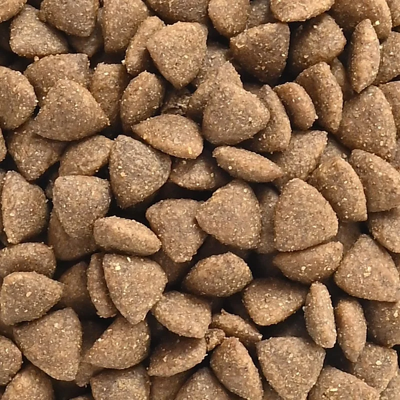 Preço baixo Pet Congelar alimentos secos orgânicos Granel Alimentos para cães
