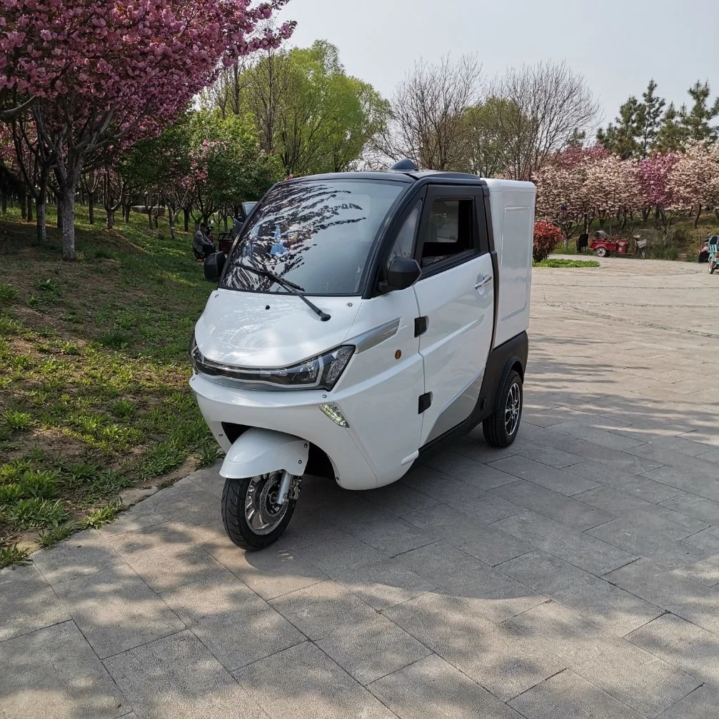 Un botón para iniciar CEE L5e triciclo eléctrico estándar chino de carga Mini Coche eléctrico de la cabina Scooter eléctrico de baja velocidad