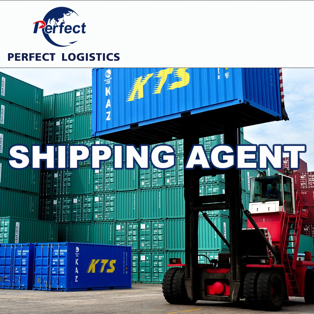 Chemicals Shipping Agent From China to USA Europe Canada Austrilia