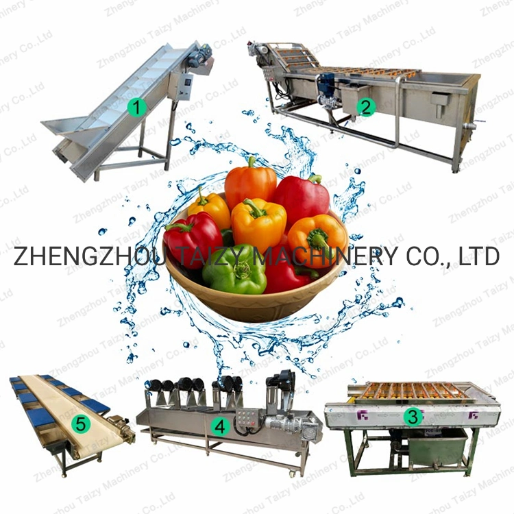 Automatic Vegetable Fruit Cutting Washing Production Line