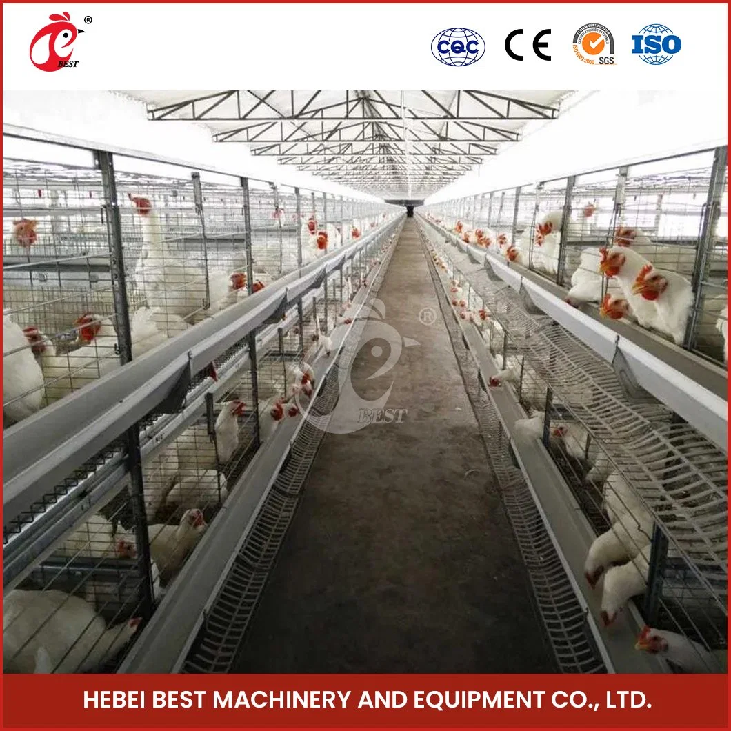 Bestchickencage H Enrollador de la estructura de la fábrica de gallinas grandes 2cm espesor de grabado Chicken Broiler Coop House