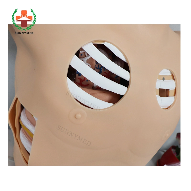 Sy-N07904 Clinical Thoracentesis Drainage Model Manikin for Training