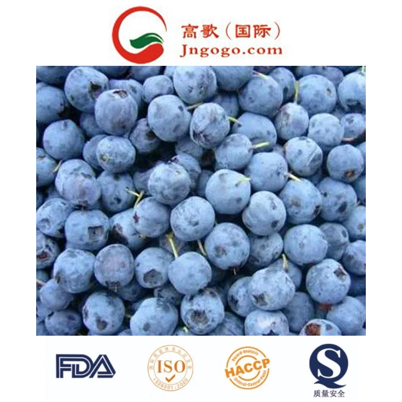 Hot Sale Frozen Whole Fruit IQF Blueberries