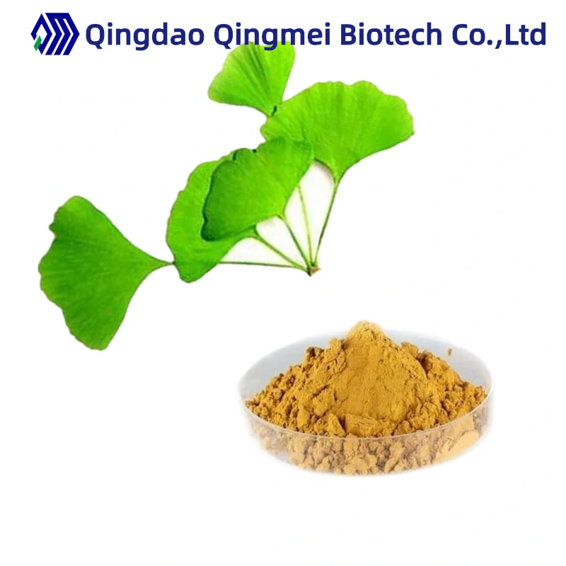 Herbal Extract Natural Organic Ginkgo Biloba Extract 24% Flavonoids Ginkgo Leaf Extract Powder