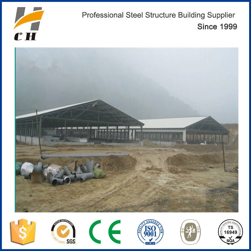 Poultry Chicken Shed/Farm/House Steel Roof Construction Structures