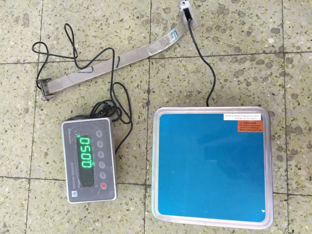 Stainless Steel Weighing Bench Waterproof Scales