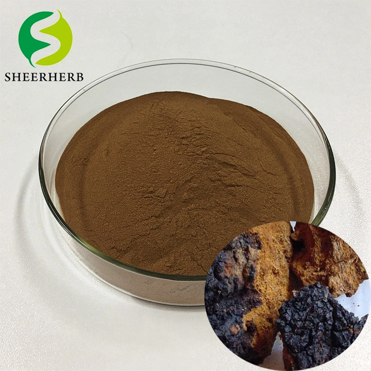 Sheerherb Natural Plant Extract Organic Chaga Mushroom Extract with Polysaccharide 20% Herb Herbal