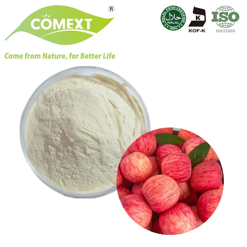 Comext Apple Cider Vinegar Powder 5% 10% Good Quality Wholesale Bulk Apple Vinegar Powder