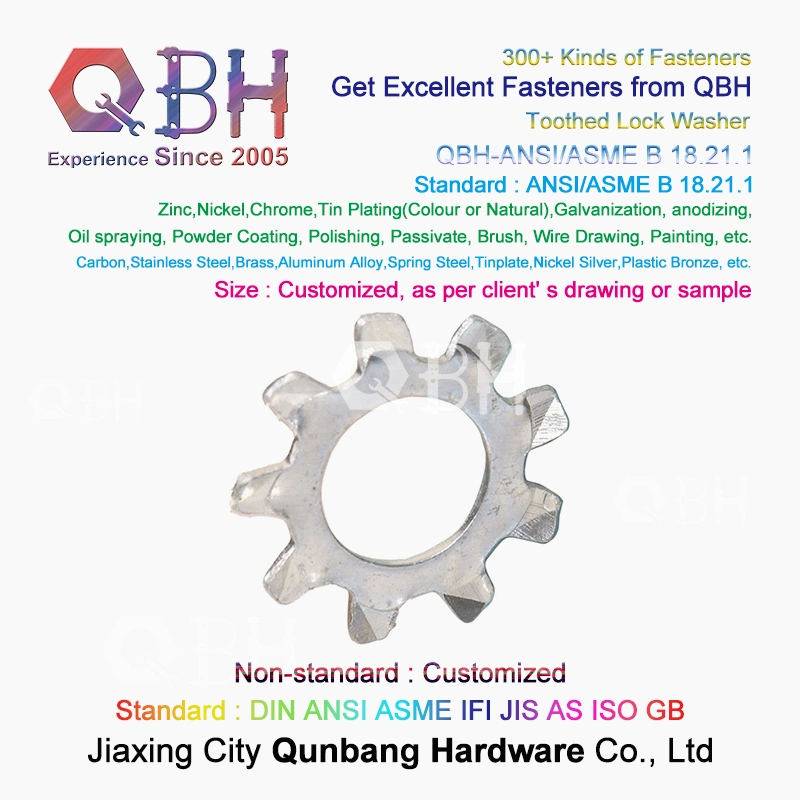 Qbh ANSI/ASME B 18.21.1 Standard Customized External Internal Toothed Tooth Teeth Serrated Bearing Nut Lock Washer