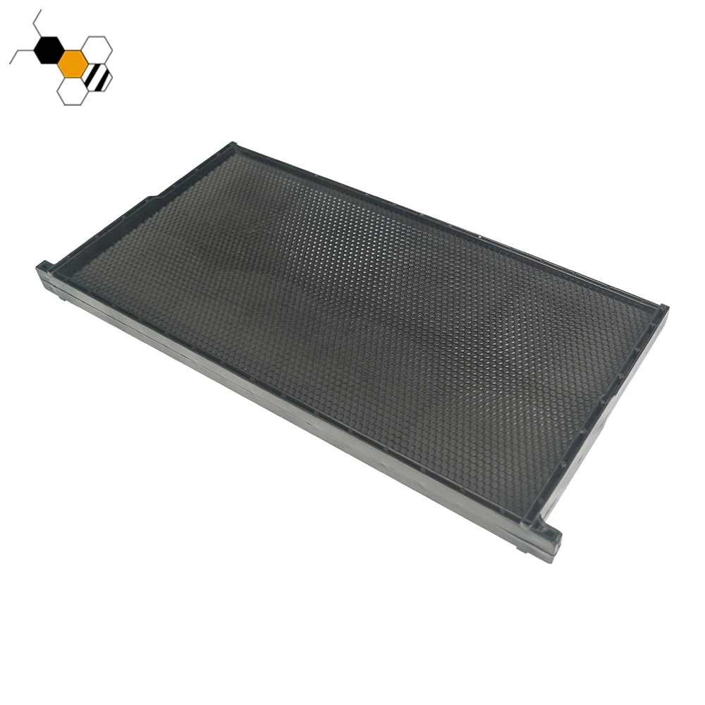 Plastic Frame with Foundation OEM/ODM Bee Fountion Sheet