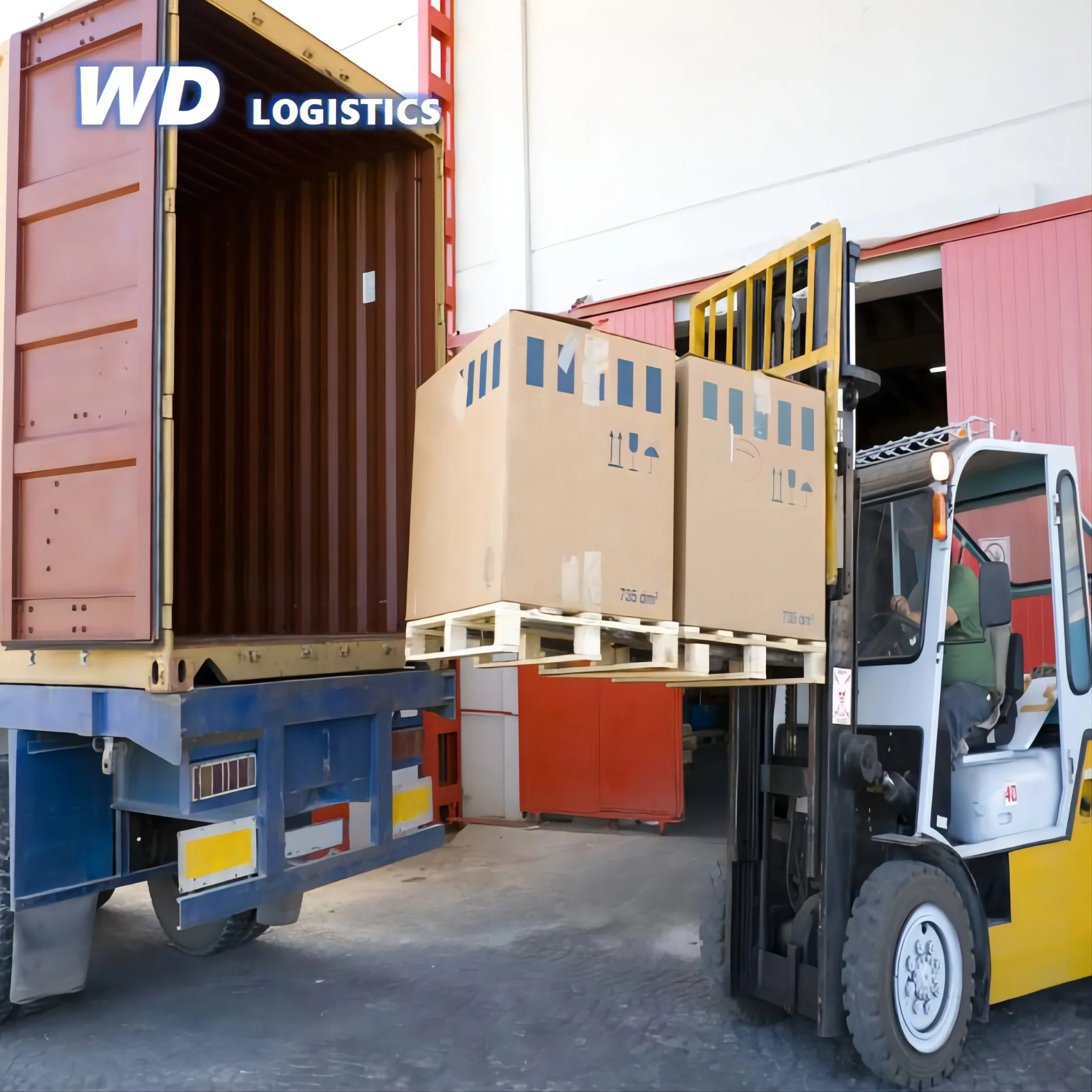 International Ocean Transportation Logistics Sea Service From Shenzhen Ningbo Shanghai to Fba Warehouse All Over The World DDP Fob