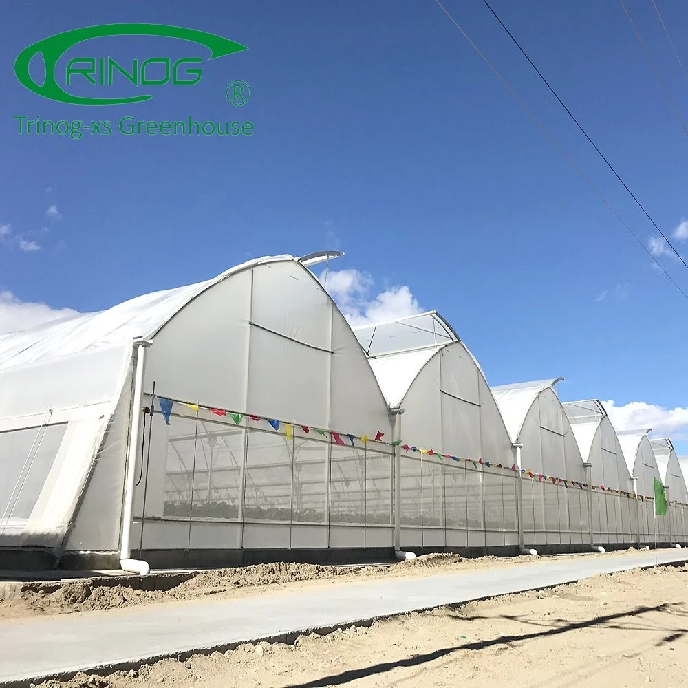 Auto-Vent agri plastic film Greenhouses for Flower house