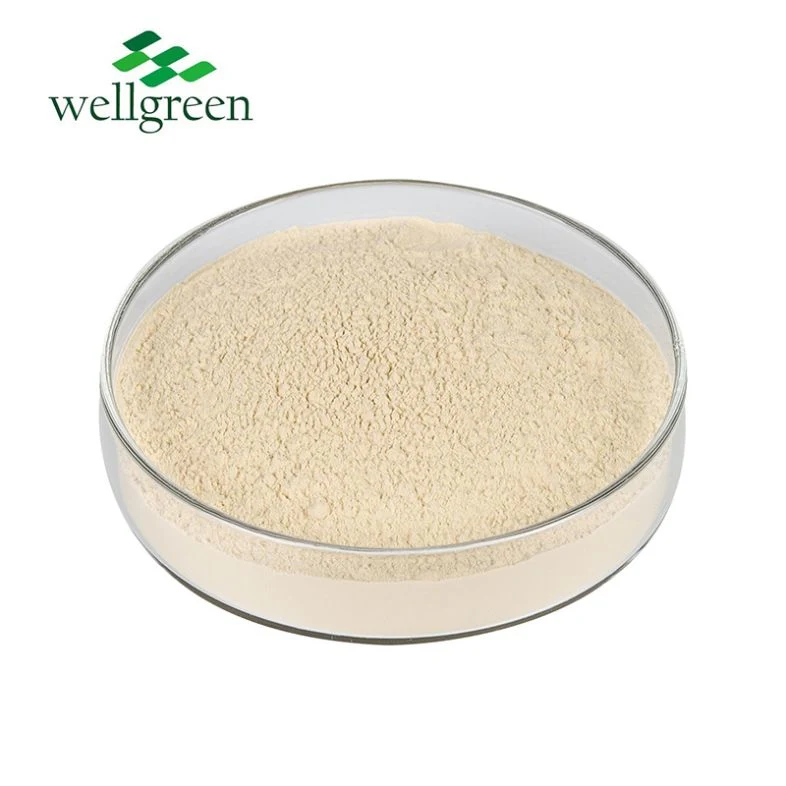 Wellgreen Herbal Extract 100% Natural Herbal Supplements Pea Protein Powder