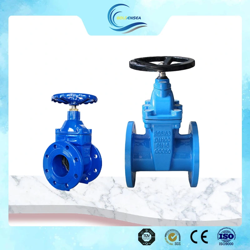 Industrial Cast Ductile Iron Rising Stem Osy Soft Seated Water Gate Valve Adjust Flow and Pressure Gate Valve