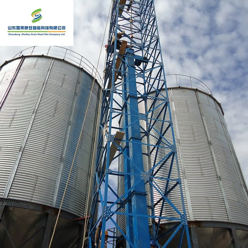 Shelley ensilado de maíz de los fabricantes de acero de China de Silo Silo Silo de acero de grano inferior de la tolva con tolva de 45 grados inferior de la tolva pequeños cajones de grano