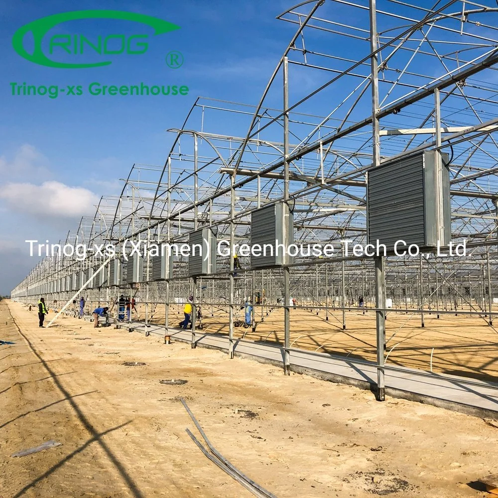 Trinog greenhouse plastic film galvanized zinc coat frame greenhouse for flower house