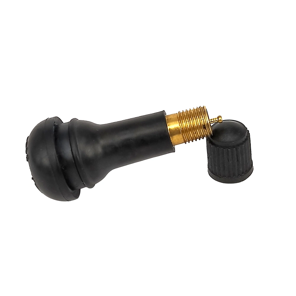 Aluminum and Natural Rubber Tubeless Tire Valve Tr418 Car Tire Nozzle